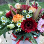 FLOWER BOXY - Květinové krabičky